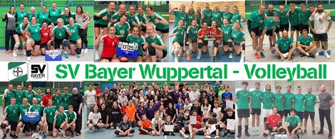 Facebookseite Volleyball ©2021 SV Bayer